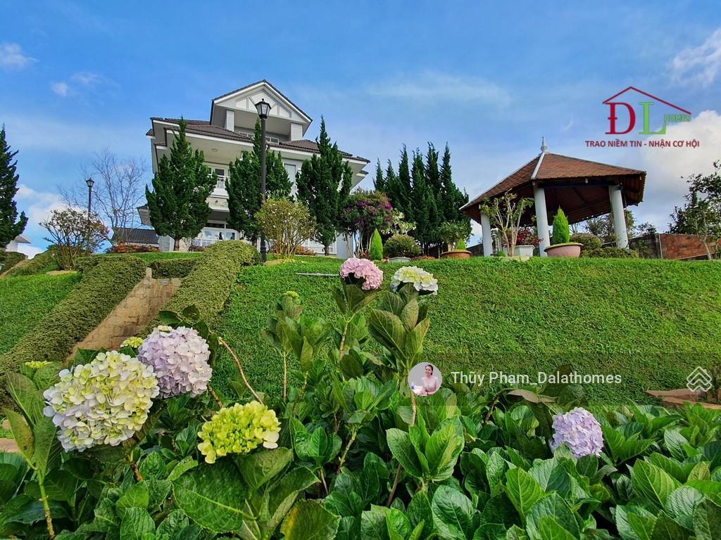 Bán biệt thự đường hoàng hoa thám đà lạt | vườn rộng view thông yên tĩnh