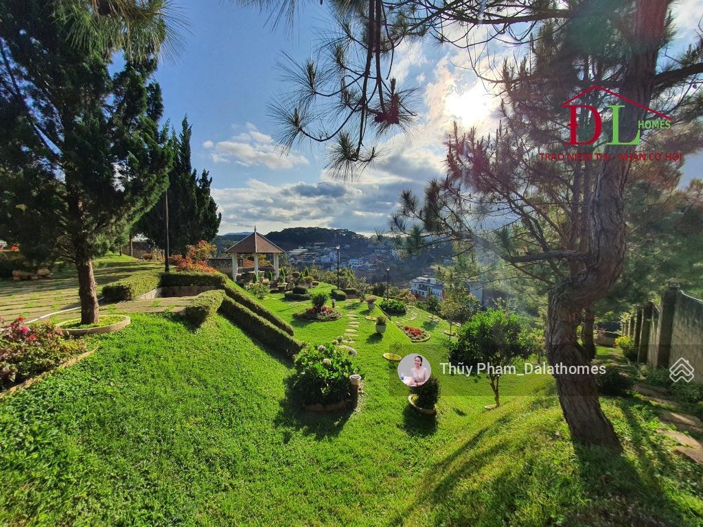 Bán biệt thự đường hoàng hoa thám đà lạt | vườn rộng view thông yên tĩnh