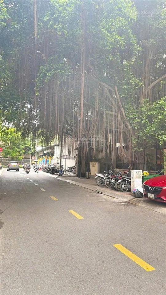 Bán nhà mt hồ xuân hương khu vip q3. dt 14x20m. giá bán 220 tỷ tl
