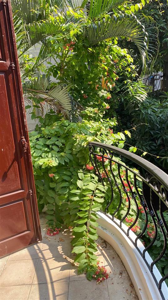 Chính chủ cho thuê nhà riêng ngõ 46a phạm ngọc thach, dt 60m² x 4t, có gara để ô tô, giá 23tr