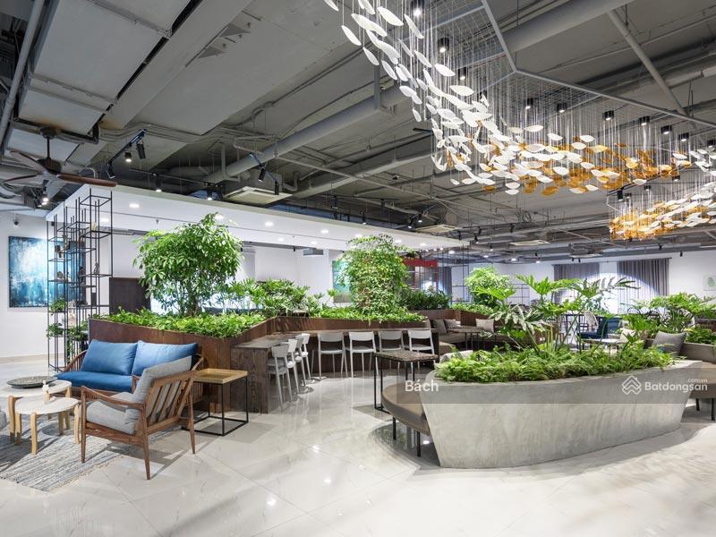 Cho thuê sàn văn phòng hạng a  dt 1000m2 phạm ngọc thạch / chùa bộc
