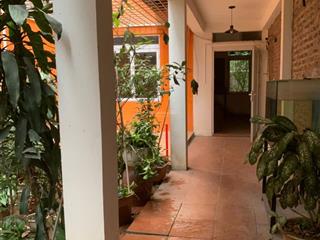 Trung tâm mỗ lao phố an hoà 90m² mt 5.5m 16.8 tỷ nhà vườn đẹp otô đỗ cửa chủ cần bán nhanh