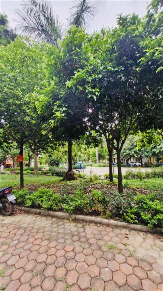 Bán gấp căn liền kề 80m2 4 tầng 24 tỷ làng việt kiều châu âu mỗ lao hà đông