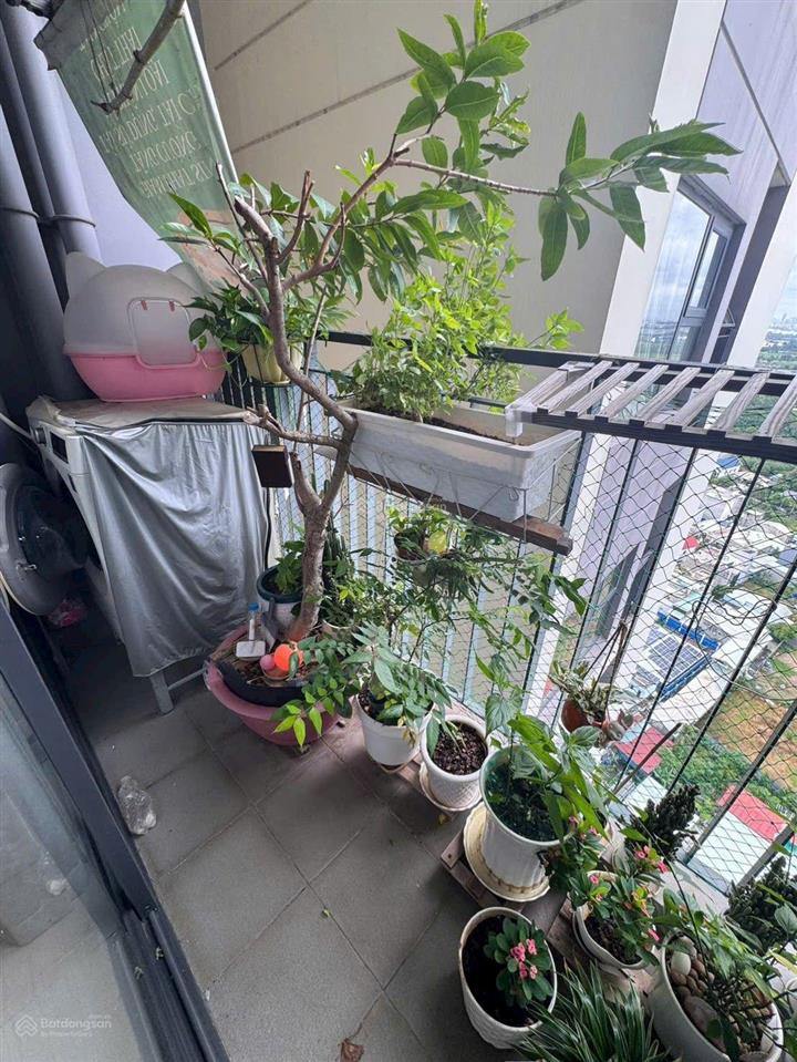 Cho thuê cc 1pn, 1wc, 47m2 tại the origami  giá ưu đãi 7 triệu vnd