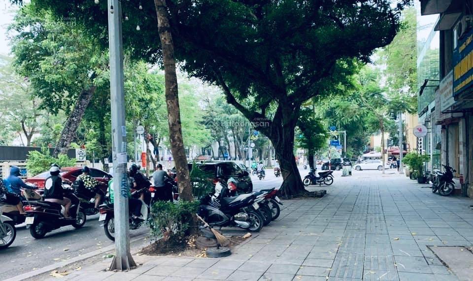 Mặt phố siêu hot hoàn kiếm  bán nhà mặt phố phan chu trinh  lô góc 3 thoáng  160m2 x 7t + mt 42m