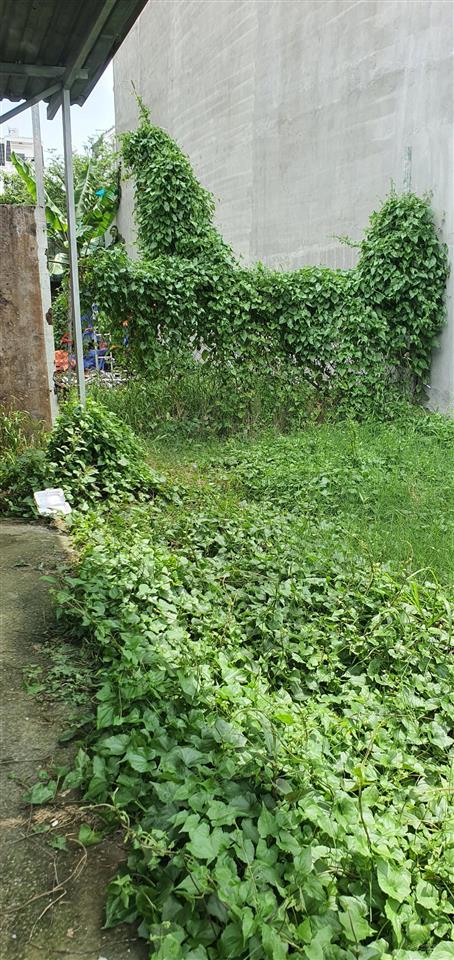 Bán đất 88m2, 4,8 tỷ, thạnh xuân 24, phường thới an, quận 12, tp.hcm