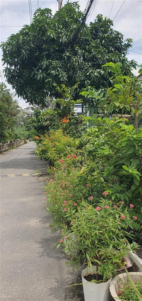 Bán đất 88m2, 4,8 tỷ, thạnh xuân 24, phường thới an, quận 12, tp.hcm