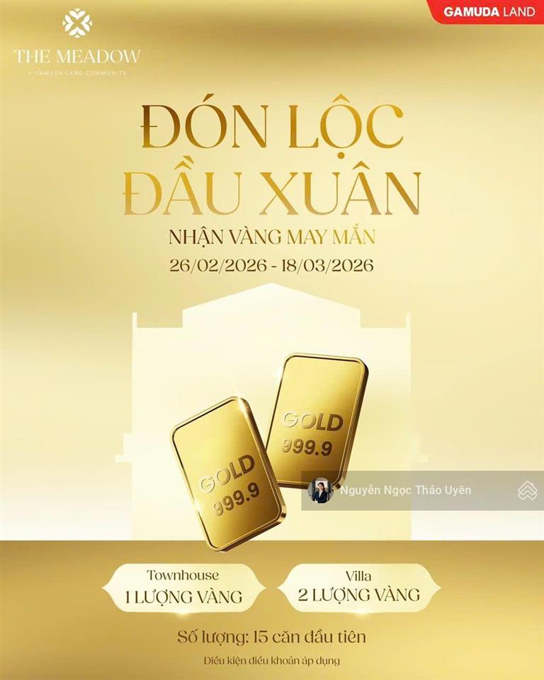 Meadow căn góc n8.1  dt 161m2/238m2 giá 13ty