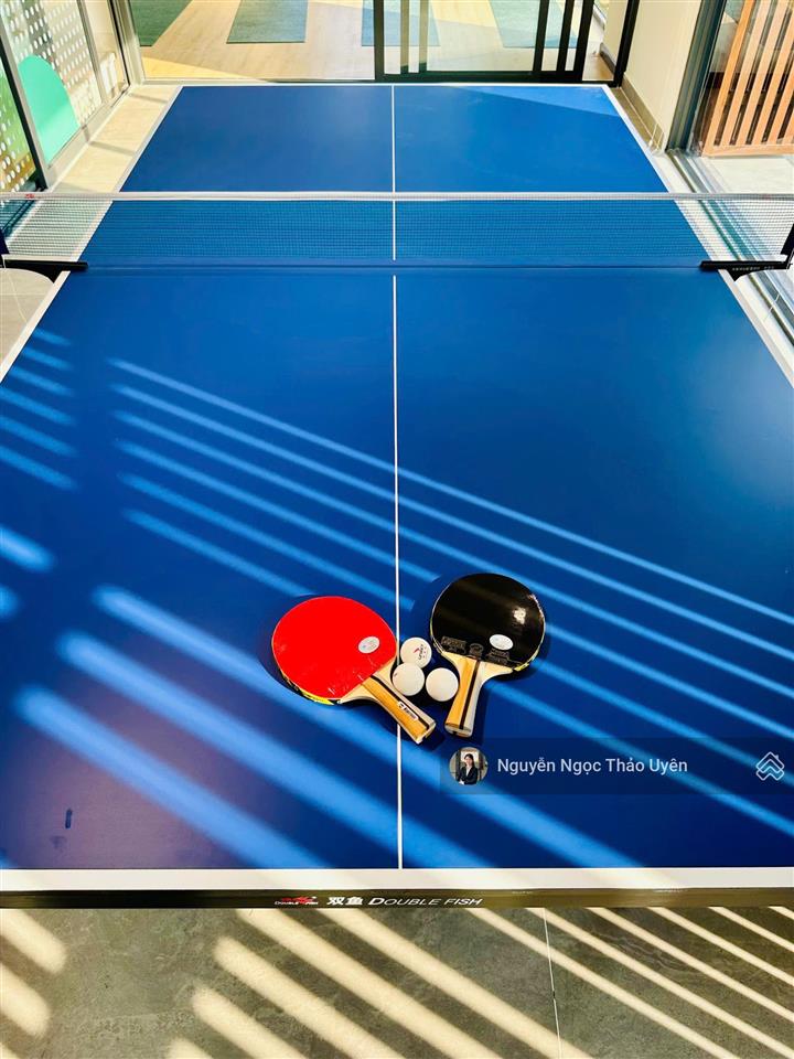 Meadow căn góc n8.1  dt 161m2/238m2 giá 13ty