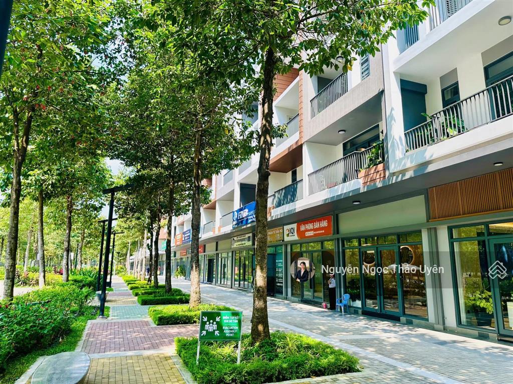 Tư vấn ctbh artisan mới nhất t7/2026