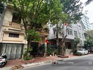 Nhà phân lô nguyên hồng đống đa, phân lô ô tô tránh vỉa hè kinh doanh