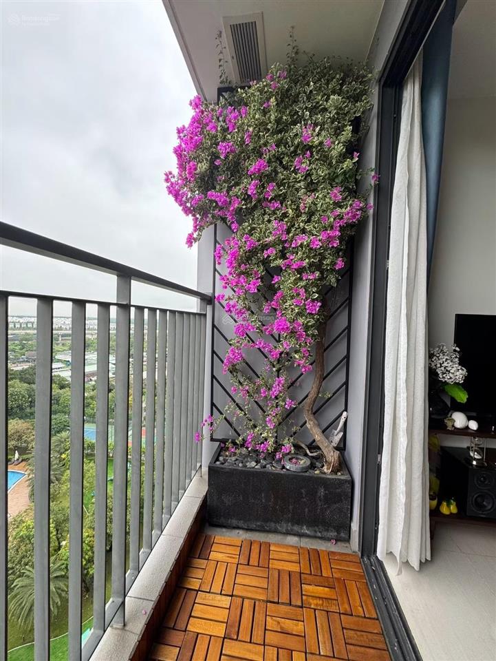 Chính chủ bán căn sổ riêng 2pn1wc tòa s203 vinhomes grand park view hồ bơi có nội thất giá 2 tỷ 930