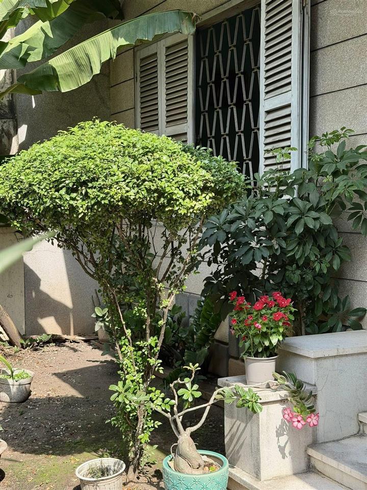 Bà ngoại bán nhà chia tài sản cho con cháu làm ăn 165m2 trung tâm bình thạnh chỉ 22,7 tỷ