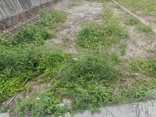 Bán mảnh đất thôn 3 vạn phúc ( trong đê ) 85m2, ô tô vào đất, giá đầu tư, sổ đỏ chuẩn pháp lý