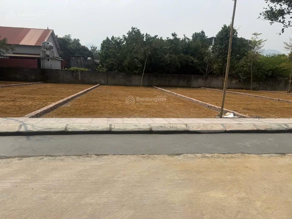 Bán đất nền sát trường học, sân bóng tản lĩnh, gần khu du lịch ao vua  ba vì  hà nội
