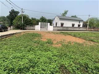 Lô góc sau trường học tại cẩm lĩnh, ba vì, hà nội, giá tốt 1,7 tỷ, 218,6 m2