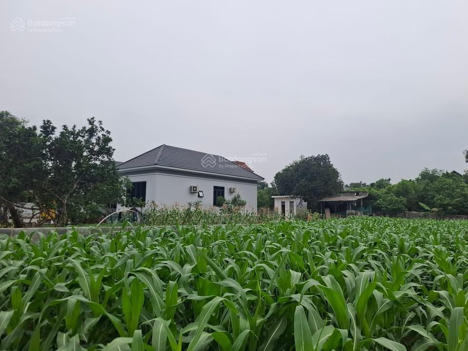 Bán đất siêu hot tại yên bài, ba vì, 1,750 tỷ, 150m2