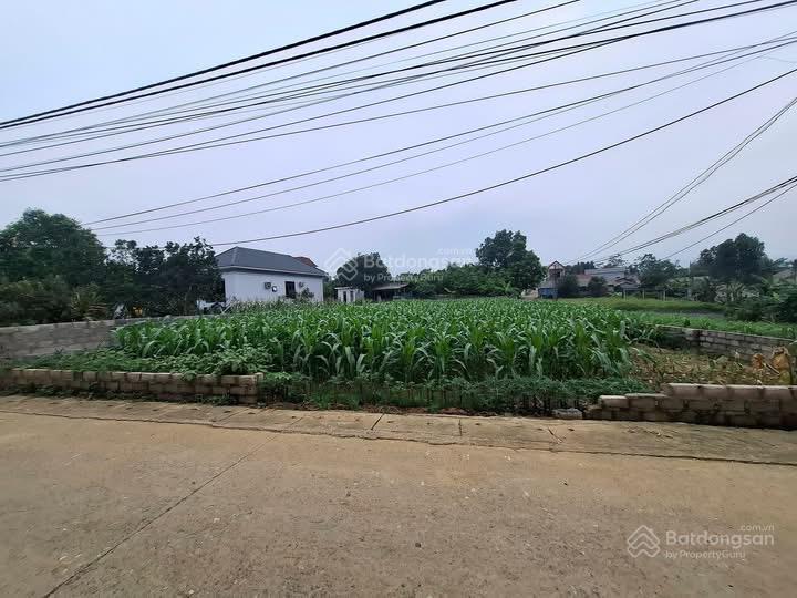Bán đất siêu hot tại yên bài, ba vì, 1,750 tỷ, 150m2