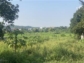 Hàng đẹp view cánh đồng trung tâm vùng lõi du lịch yên bài  ba vì