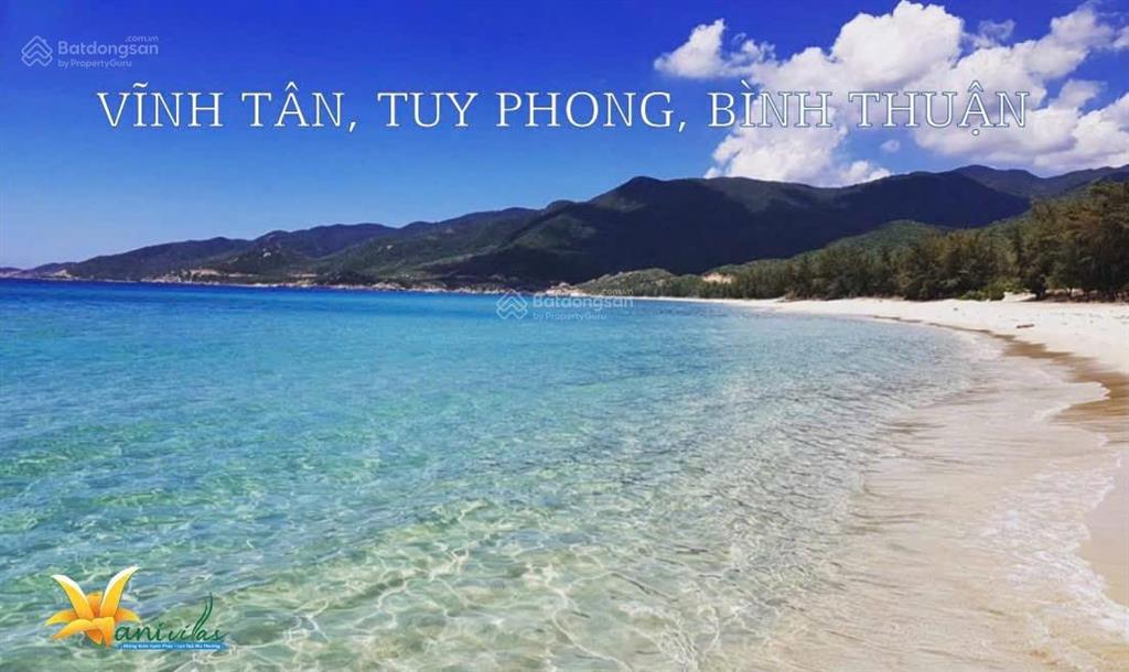 Vani villas bình thuận  56.567 m  khu biệt thự nghỉ dưỡng & kinh doanh đẳng cấp  vịnh biển trong