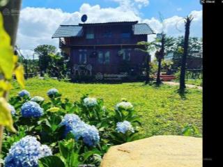 Chỉ 5 triệu/m sở hữu lô đất nghỉ dưỡng đẹp nhất  mimosa garden bảo lộc