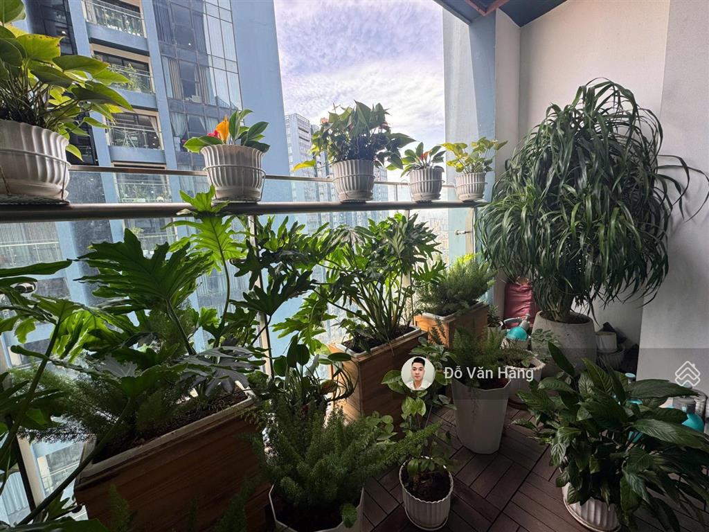Bán căn 3 ngủ full nội thất đẹp sunshine city, sổ đỏ sang tên