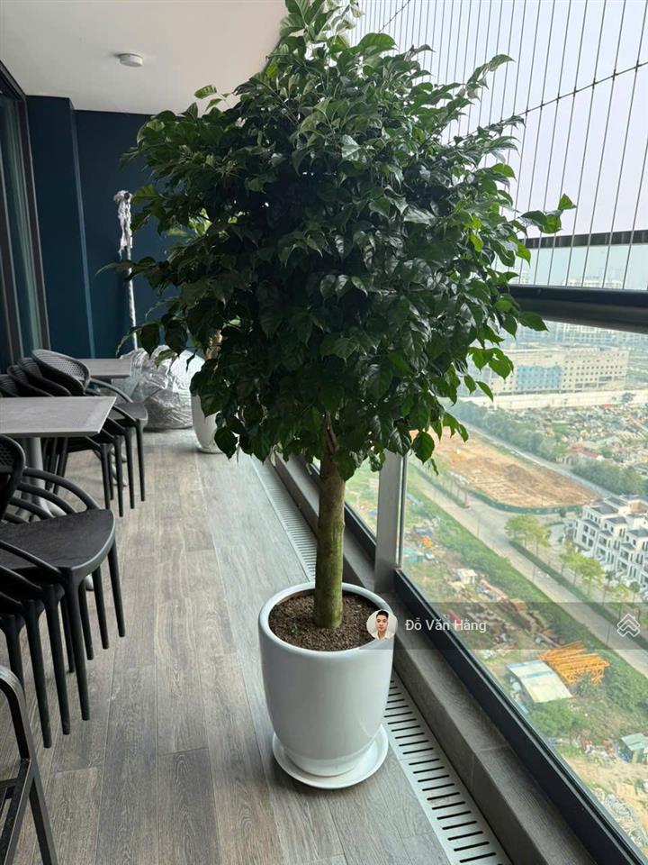 Cho thuê nhanh căn 3 ngủ rộng 141m2 sunshine golden river giá 39 triệu/tháng vào ở được ngay