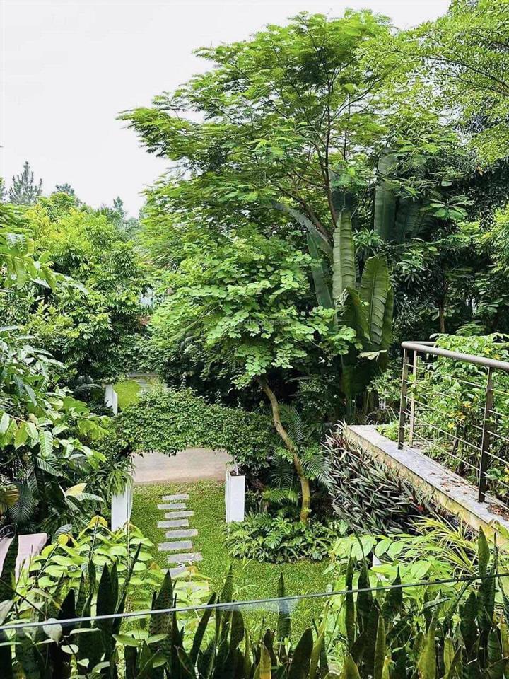 16.5 tỷ  sở hữu biệt thự nghỉ dưỡng hoàng oanh flamingo đại lải+ 160 tiện ích non xanh thủy tú