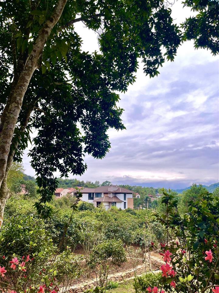 Bán biệt thự góc thanh xuân valley giá tốt, bãi đỗ xe cạnh nhà, sát coutry club, 190/257m2