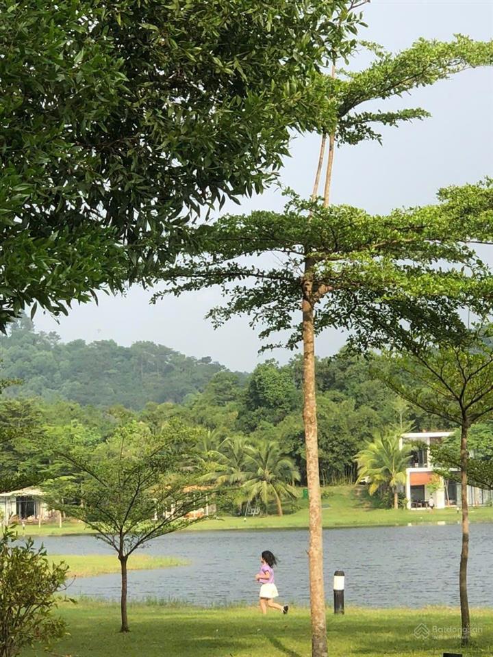 Biệt thự view hồ phân khu bách thanh flamingo đại lải resort, nội thất trang nhã, 323m2, 10.5 tỷ