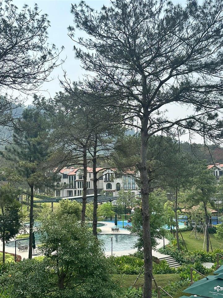 Bán biệt thự phân khu orchard, view hồ, sổ lâu dài, contemporary mở rộng tầm nhìn , 1200m, 70tỷ