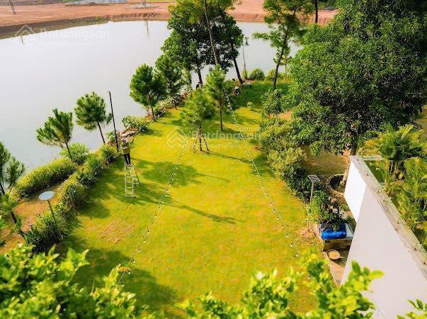 Bán biệt thự flamingo đại lải view hồ lớn, lưu không rộng, thiết kế 7 pn, dòng tiền tốt, 250m, 13tỷ