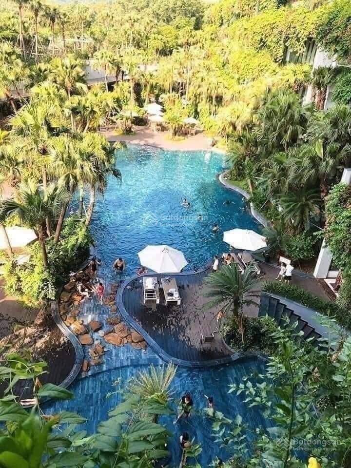 Bán căn hộ nghỉ dưỡng 80m2 tòa forest flamingo đại lải resort, view bể bơi, ngắm vườn thượng uyển