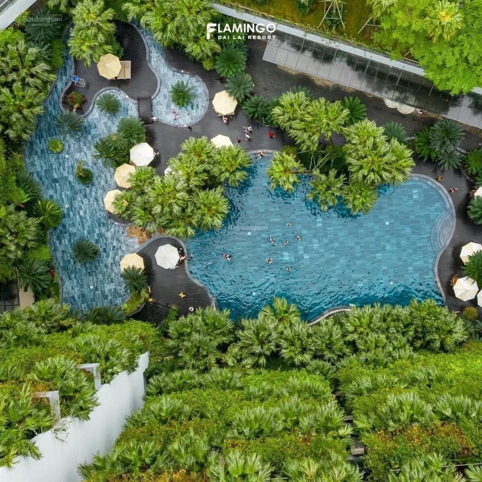 Bán căn hộ nghỉ dưỡng 80m2 tòa forest flamingo đại lải resort, view bể bơi, ngắm vườn thượng uyển