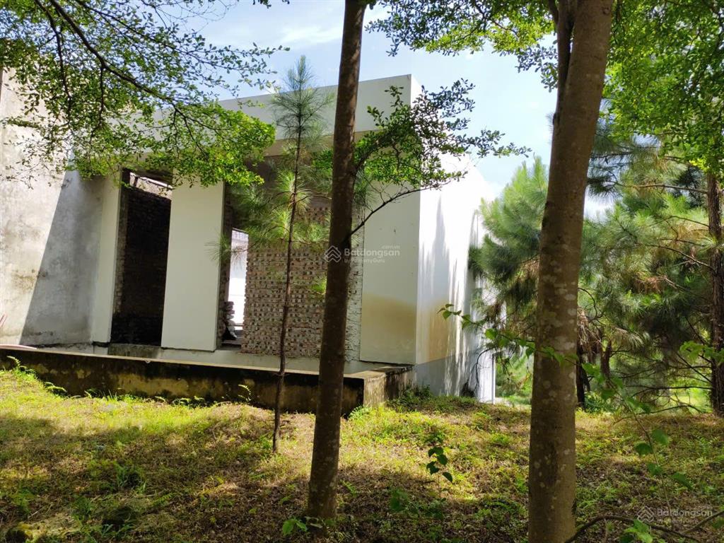 Bán biệt thự góc venus flamingo đại lải resort view hồ thanh cao, bên cầu vọng thủy, 250/500m, 16tỷ