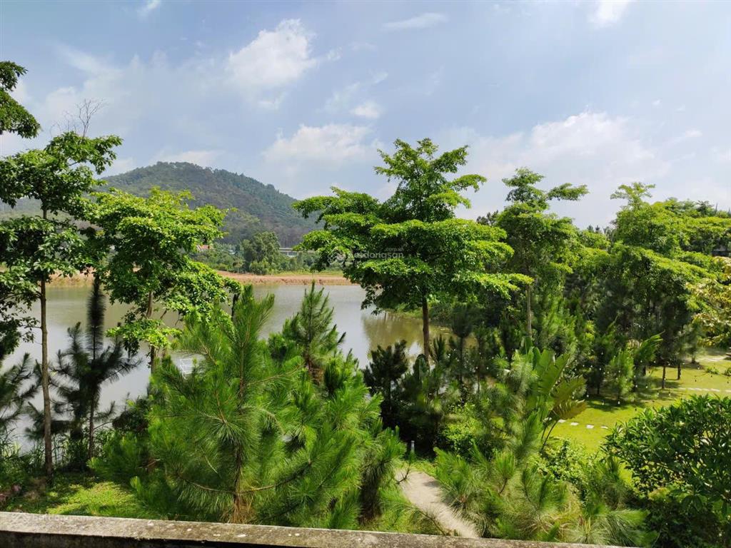 Bán biệt thự góc venus flamingo đại lải resort view hồ thanh cao, bên cầu vọng thủy, 250/500m, 16tỷ