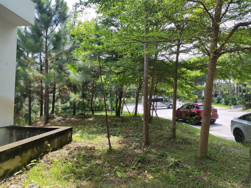 Bán biệt thự góc venus flamingo đại lải resort view hồ thanh cao, bên cầu vọng thủy, 250/500m, 16tỷ