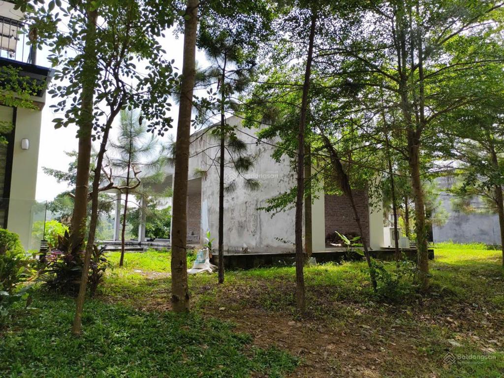 Bán biệt thự góc venus flamingo đại lải resort view hồ thanh cao, bên cầu vọng thủy, 250/500m, 16tỷ
