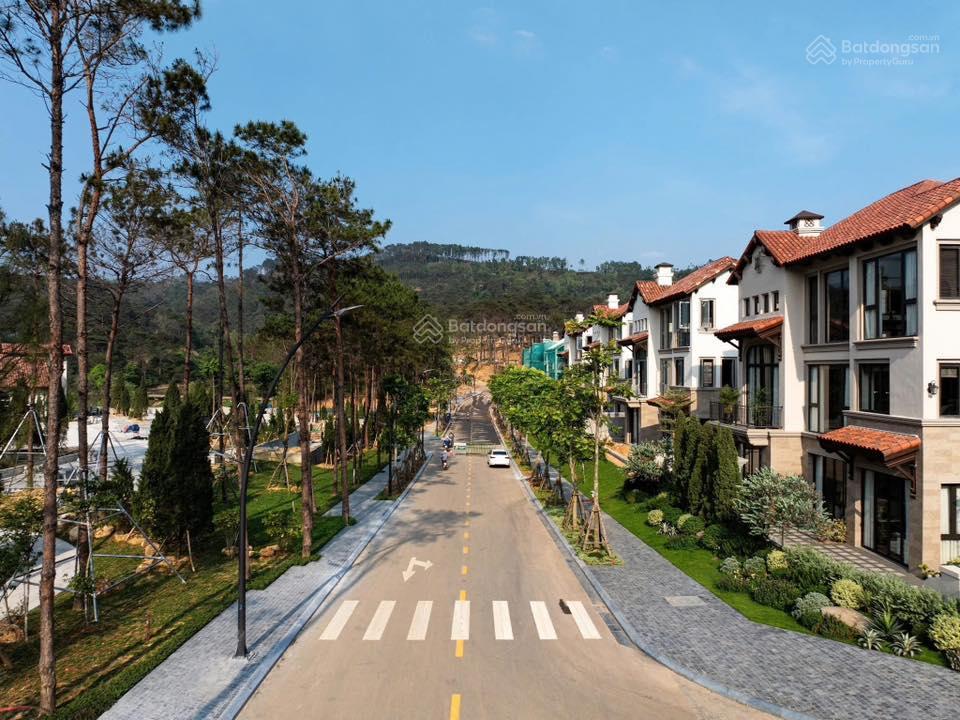 Bán căn góc camellia 3 thoáng bao trọn hồ thiên thanh và ks intercontinental, 252/419m, 31,1 tỷ