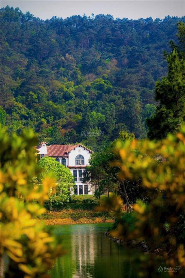 Bán căn góc camellia 3 thoáng bao trọn hồ thiên thanh và ks intercontinental, 252/419m, 31,1 tỷ