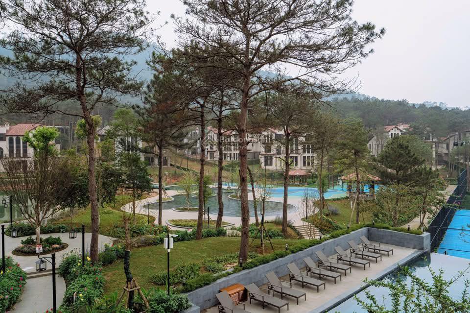 Bán căn góc camellia 3 thoáng bao trọn hồ thiên thanh và ks intercontinental, 252/419m, 31,1 tỷ