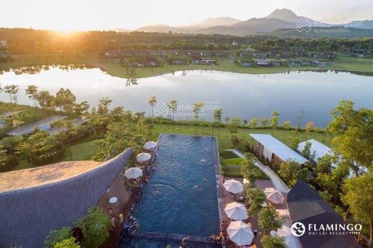 Bán căn góc 2 pn forest in the sky giá tốt flamingo đại lải resort, dòng tiền 17tr/tháng