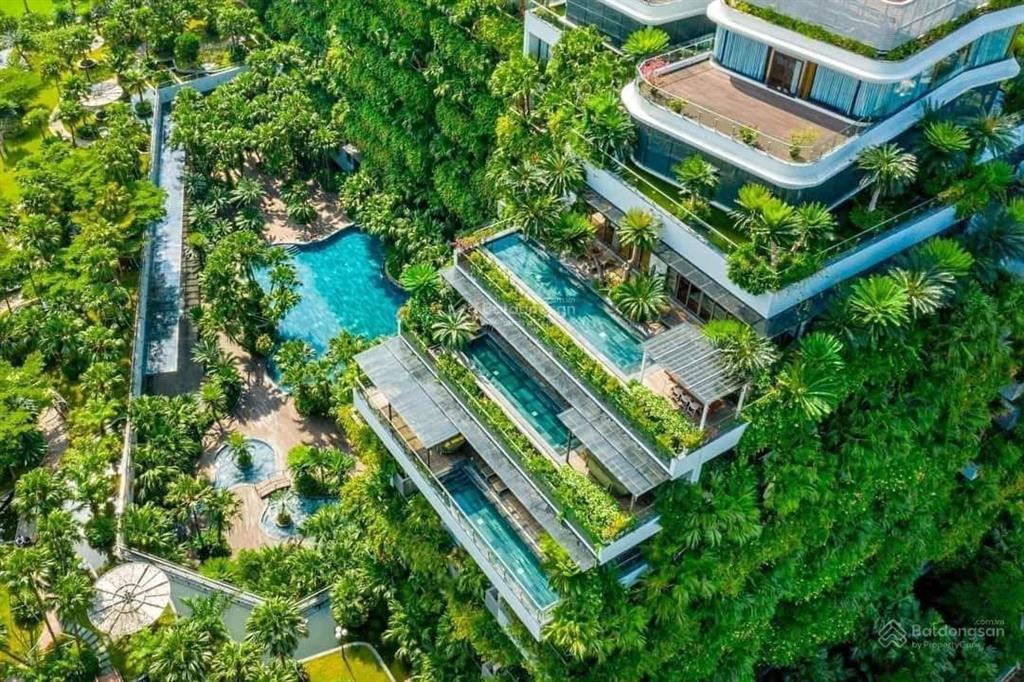 Bán căn góc 2 pn forest in the sky giá tốt flamingo đại lải resort, dòng tiền 17tr/tháng