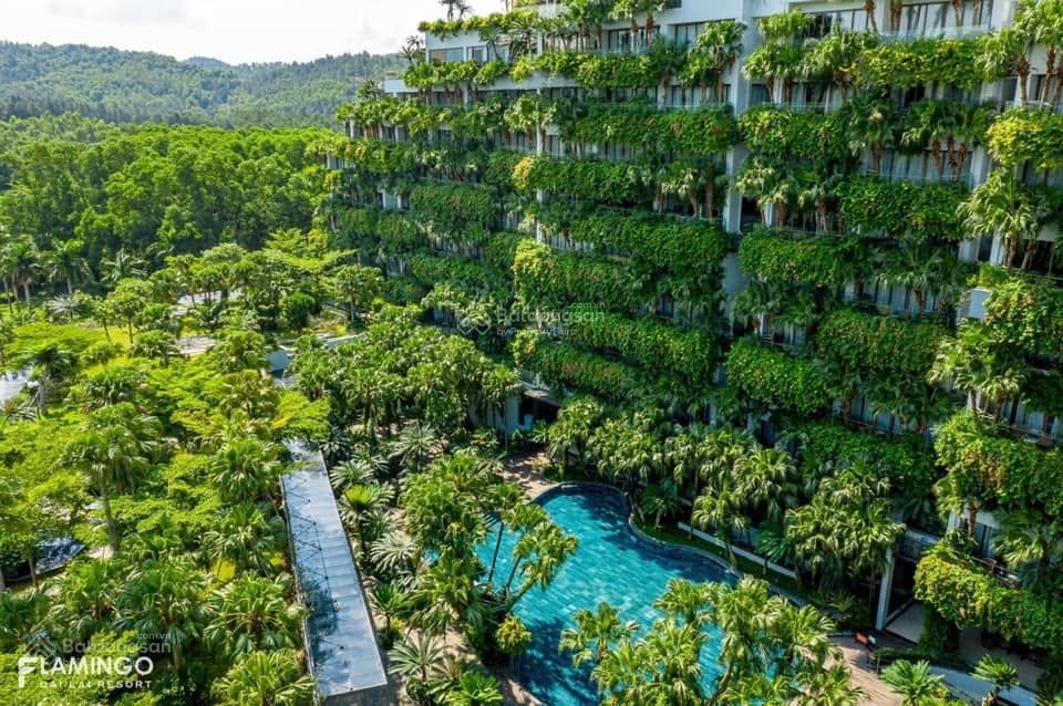 Bán căn góc 2 pn forest in the sky giá tốt flamingo đại lải resort, dòng tiền 17tr/tháng