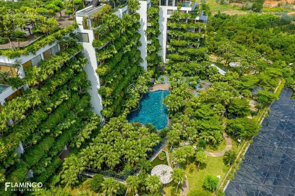 Bán căn góc 2 pn forest in the sky giá tốt flamingo đại lải resort, dòng tiền 17tr/tháng