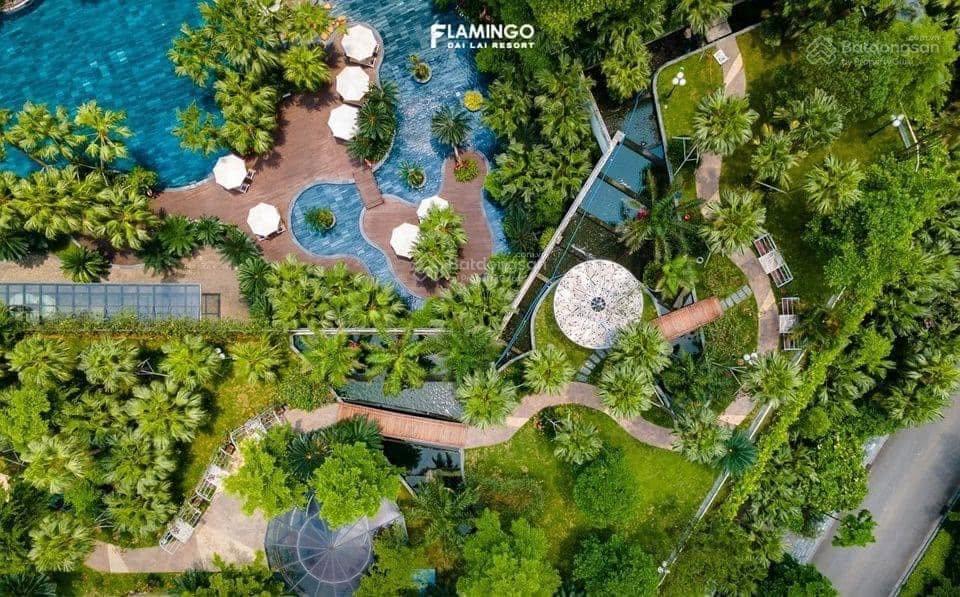 Bán căn góc 2 pn forest in the sky giá tốt flamingo đại lải resort, dòng tiền 17tr/tháng