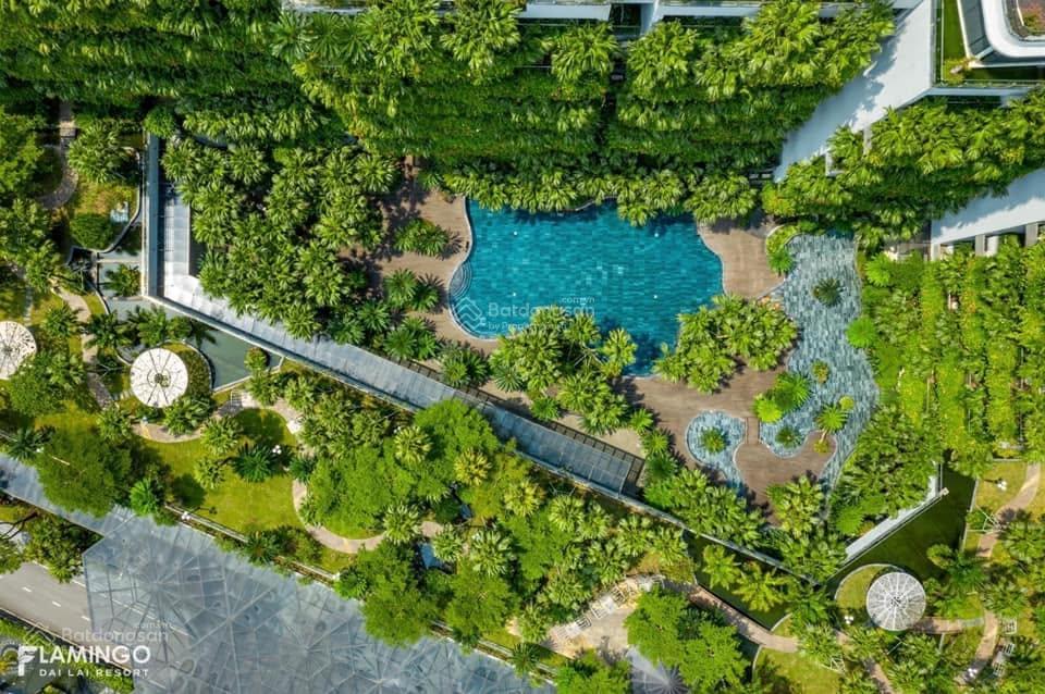 Bán căn góc 2 pn forest in the sky giá tốt flamingo đại lải resort, dòng tiền 17tr/tháng
