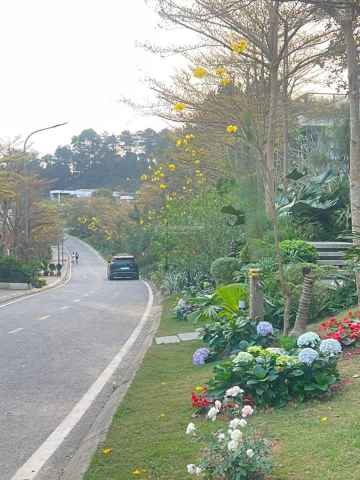 Lô đất biệt thự venus flamingo đại lải resort 250m2  7,5 tỷ, thế đất cao, lưu không cực thoáng