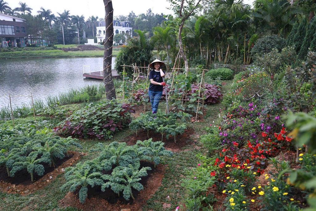 Bán biệt thự flamingo đại lải, 700m, view hồ, 6 pn, phòng thưởng trà đạo, nội thất đẹp, tặng 4 thẻ