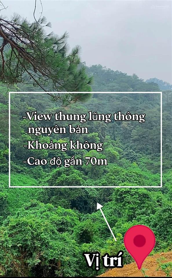 Bán biệt thự sping reshidences, view hồ thiên thanh, đối diện intercon thanh xuân, 97m, 11.7tỷ